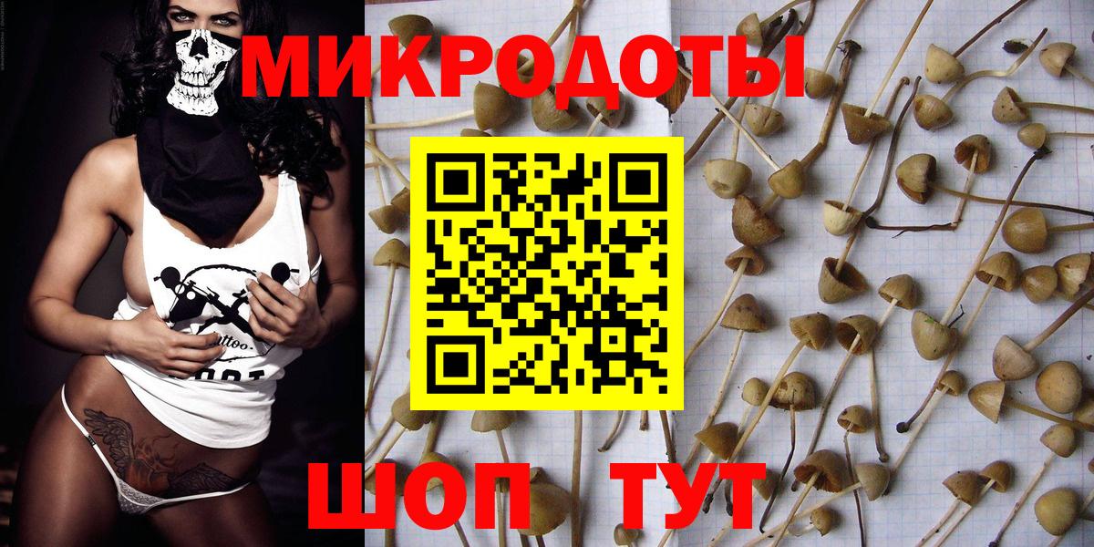 Псилоцибиновые грибы MAGIC MUSHROOMS Павлово