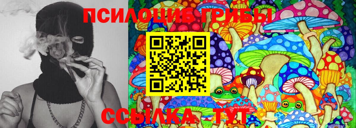 Павлово  Псилоцибиновые грибы GOLDEN TEACHER  Вход с VPN 